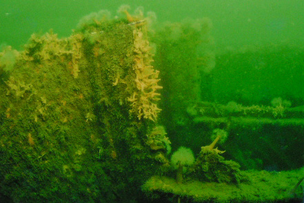 Schwimmdock Alsensund